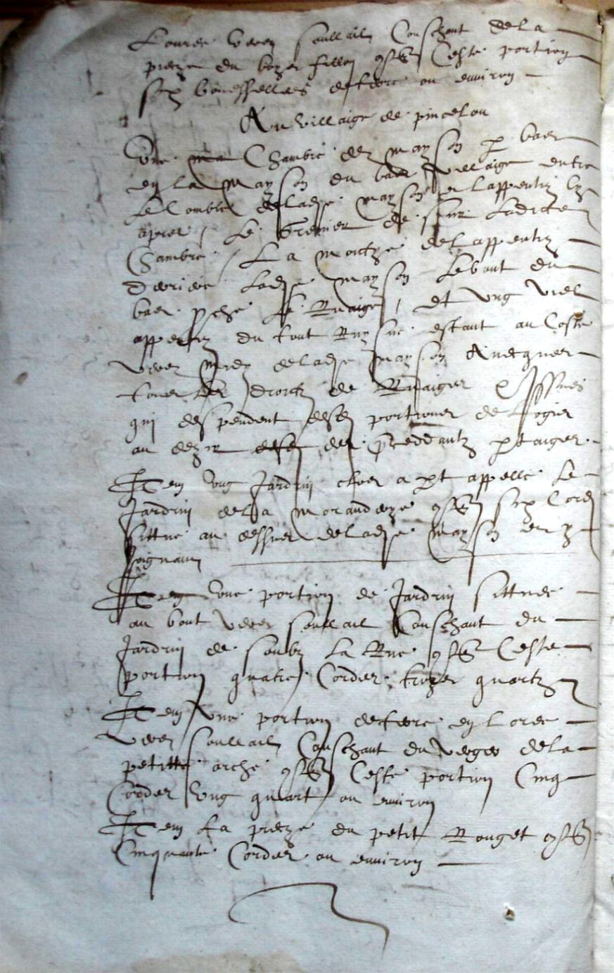 Cohon-F_1619 (12).JPG